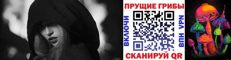 mega ссылки  Заозёрный  Псилоцибиновые грибы Cubensis 